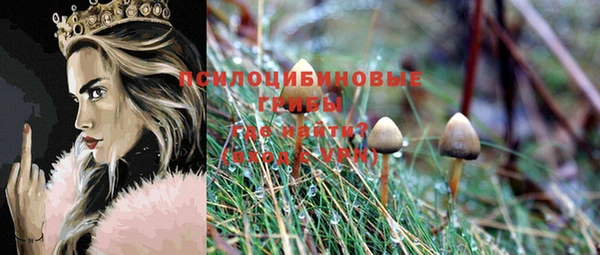 марки lsd Заводоуковск