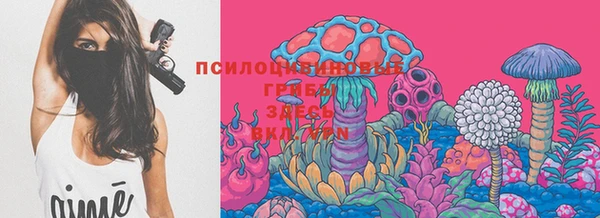 марки lsd Заводоуковск