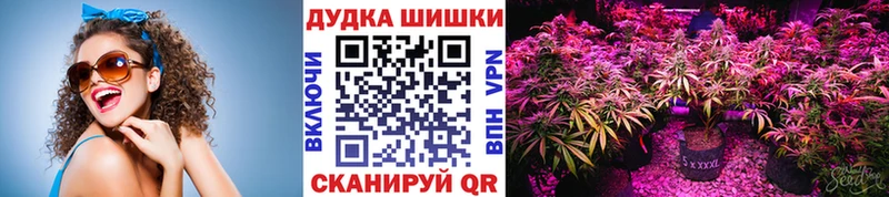 Бошки марихуана семена  Купить  Касли 